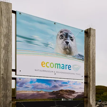 Droomsuites Texel 6 Personen By Droomvilla Apartament Den Burg