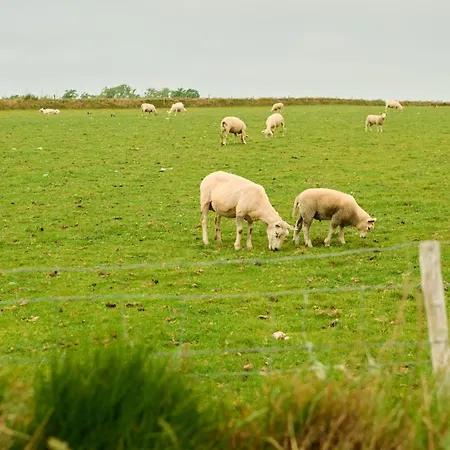 Apartament Droomsuites Texel 6 Personen By Droomvilla *