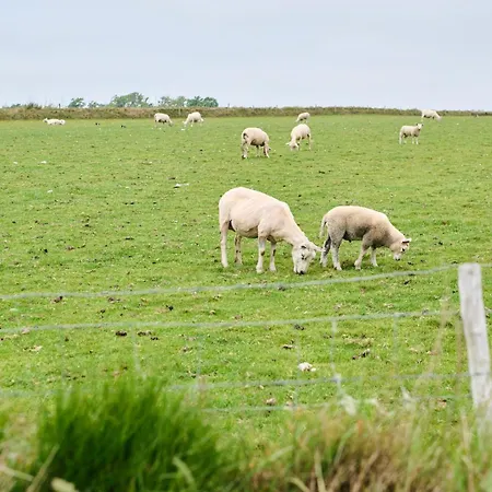 Droomsuites Texel 6 Personen By Droomvilla Apartament *