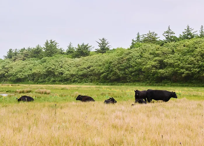 アパート Droomsuites Texel 6 Personen By Droomvilla