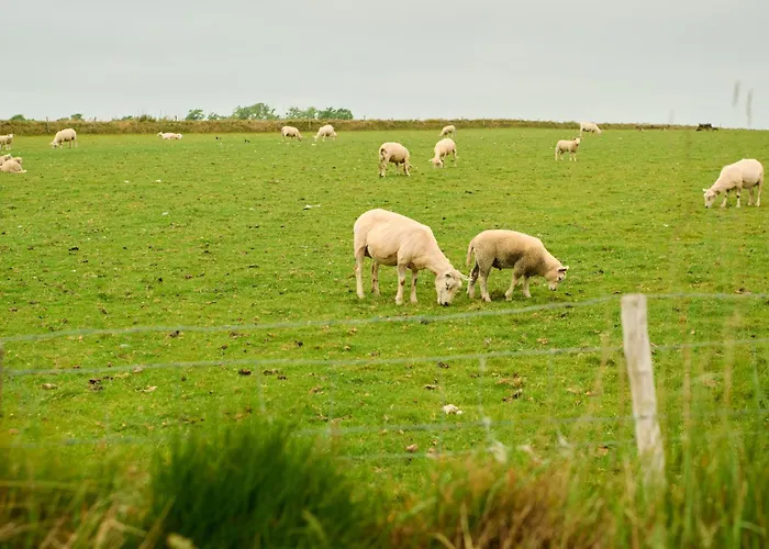 アパート Droomsuites Texel 6 Personen By Droomvilla *