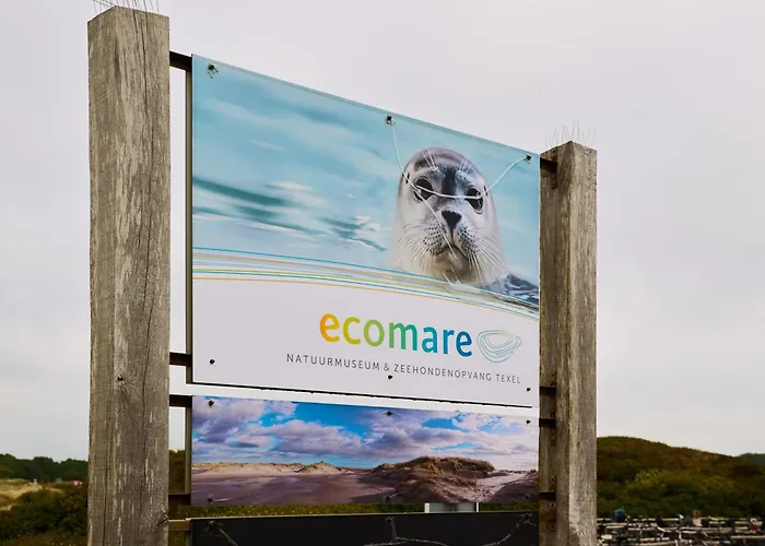 Droomsuites Texel 6 Personen By Droomvilla Appartement Den Burg