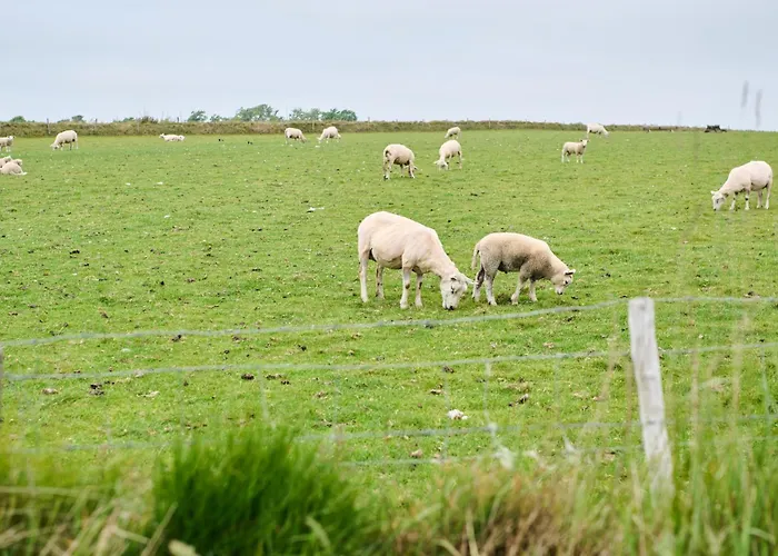 Droomsuites Texel 6 Personen By Droomvilla Appartement *