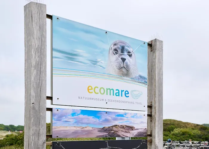 Droomsuites Texel 6 Personen By Droomvilla Appartement *